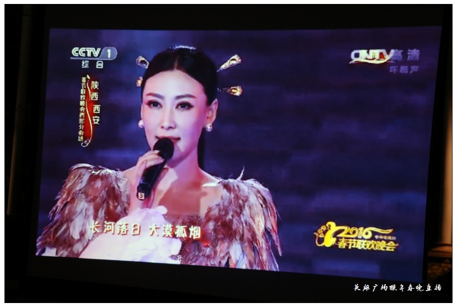 猴年春晚 (2).jpg
