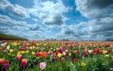 72c0d72d12ad71e96e0ca5c506d06a26.jpg