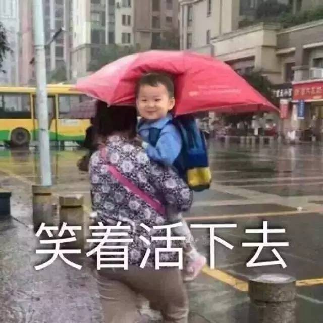 e712de584343a4513419081a4a38fa8b.jpg