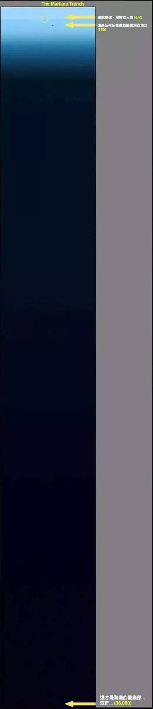 a9532d02b05d1c0e7bc1a51290228e29.jpg