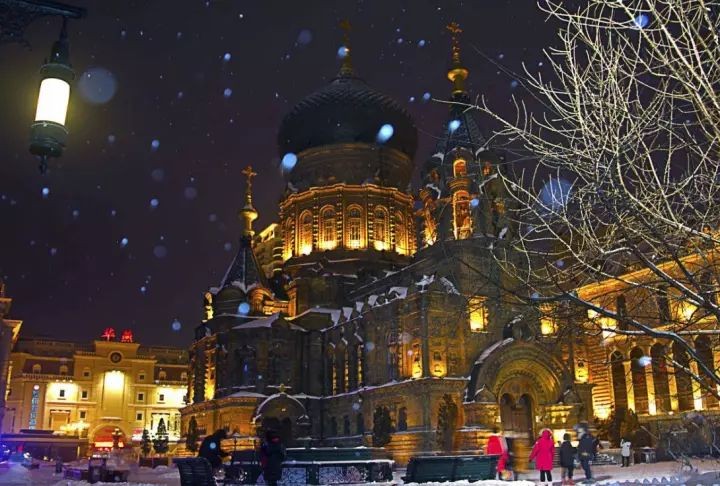 6dec8dd47b0addc6e1d5315c35a030db.jpg