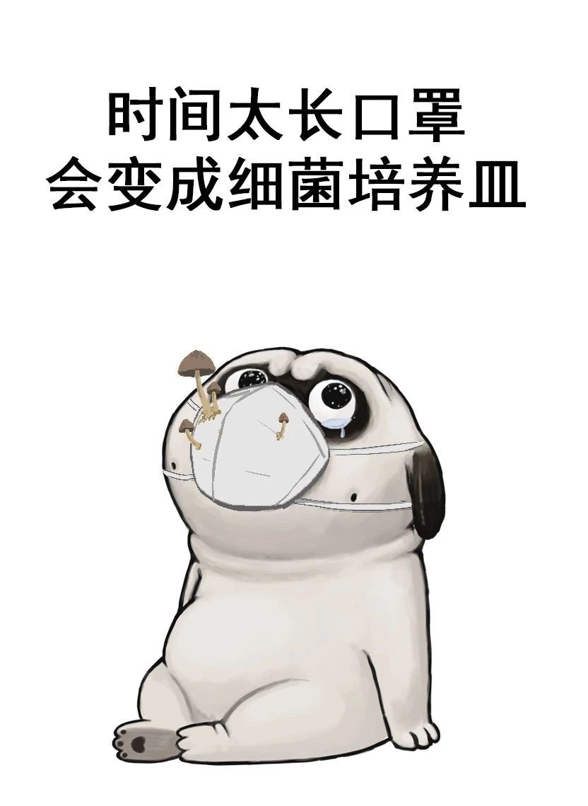 a89b3735a57d5bb8e5cac3976b984d31.jpg