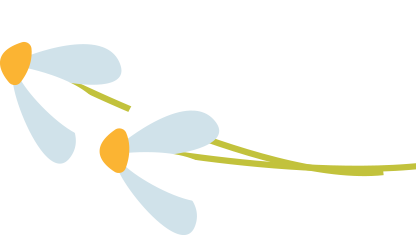 232841hkkg0rkdds033wwt.png